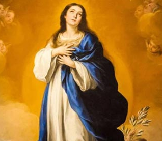 Solemnity of Mary