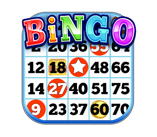 BINGO - Bag Bingo