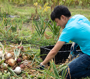 Farm Ministry 