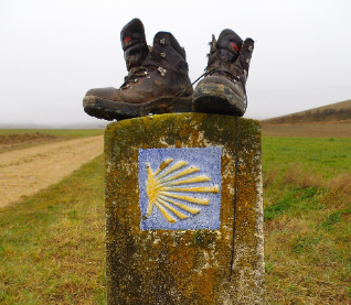 Fr. Frank's Camino 2024