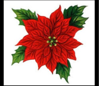 2024 Youth Ministry Poinsettia fundraiser