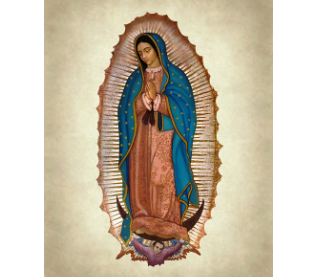 Novena - Virgen de Guadalupe