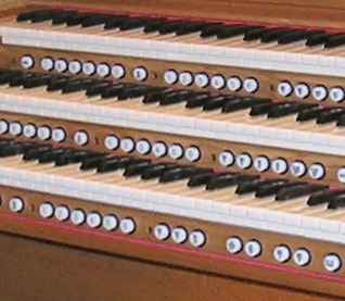 Organist