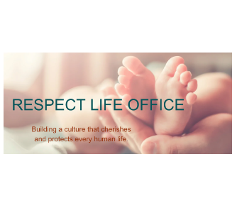 Respect Life Office/Project Rachel Ministry