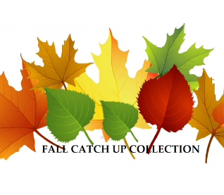 Fall Catch-Up